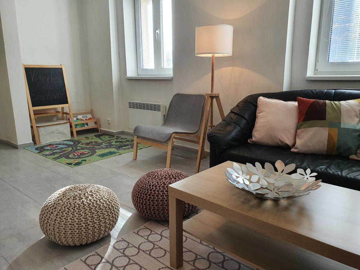 Apartmany Brachovna Mikulov v Krusnych Horach Екстериор снимка